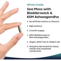 New Leaf Sea Moss Complex Capsules